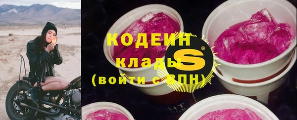 метадон Инта