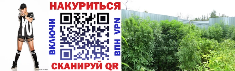 blacksprut ONION  Каргополь  Марихуана семена 